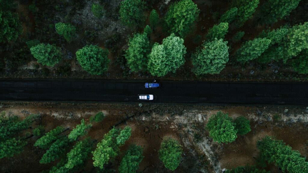 Route au milieu d’une forêt – Flexibilité des tarifs prestations drone INSPIDRONE